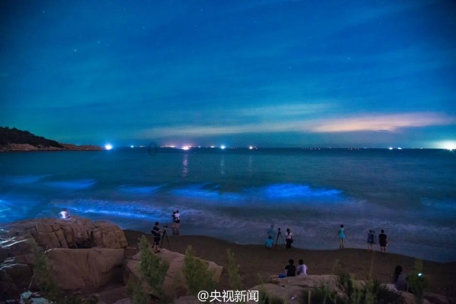 C1已考过科目一，还能换考C2吗？游戏画面